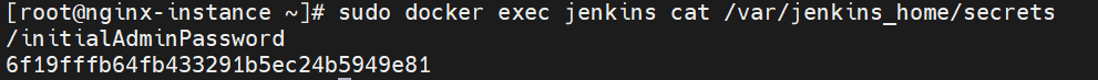 03_Jenkins_PW.png